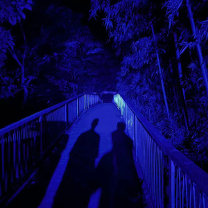 一级毛片全部免费播放中文国语
