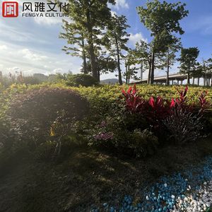 一级毛片全部免费播放中文国语
