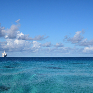 一级毛片全部免费播放中文国语
